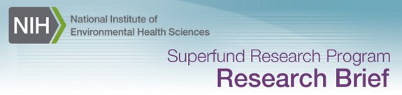 SRP Research Brief