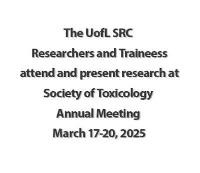 SOT 2025