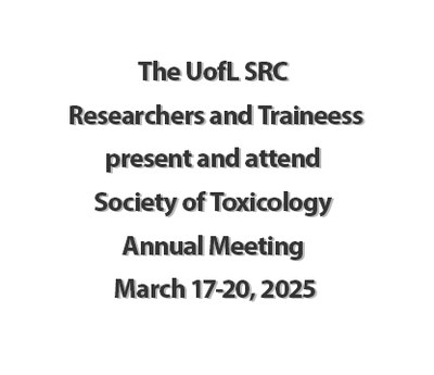 SOT 2025