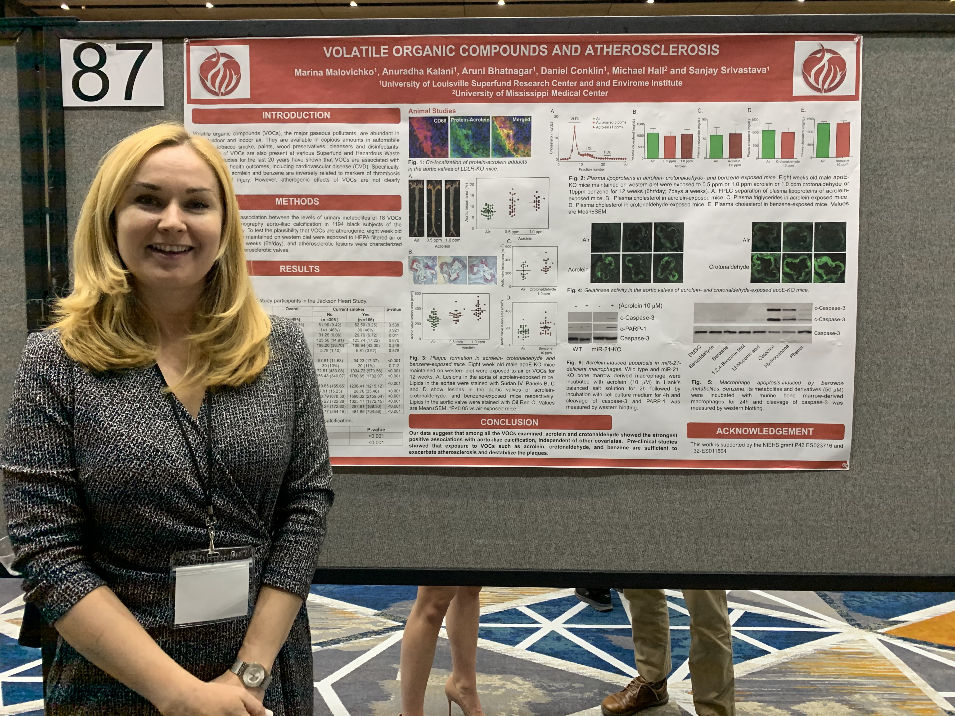 MM 2019 SRP Poster