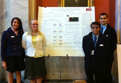 Posters at the Capitol 2013