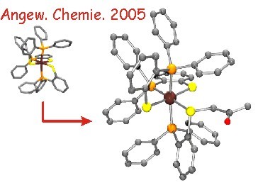 AngewChemie2005