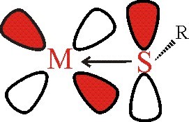 Metal sulfur pi antibonding
