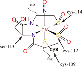 Stick drawing of NHase active site