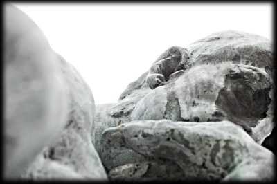 Close up of the Thinker's ear.