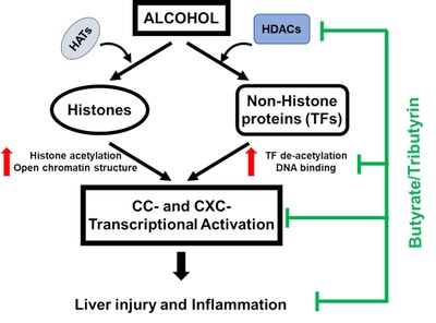 Smita Ghare project data