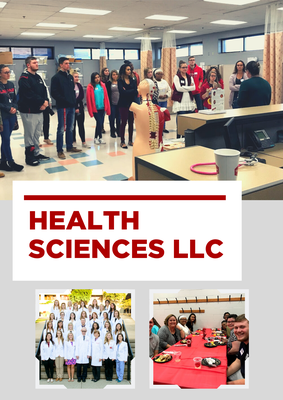Health Sciences LLC