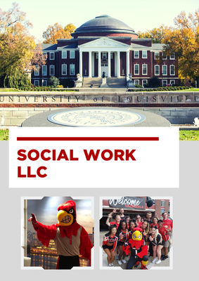 Social Work LLC