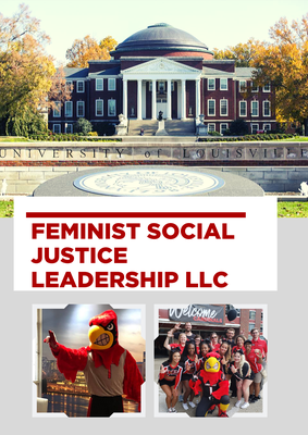 Feminist Social Justice Leadership LLC
