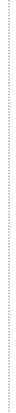 vertical_divider.gif
