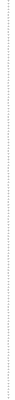 vertical_divider.gif