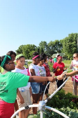 Healthwise Summer Program 2013