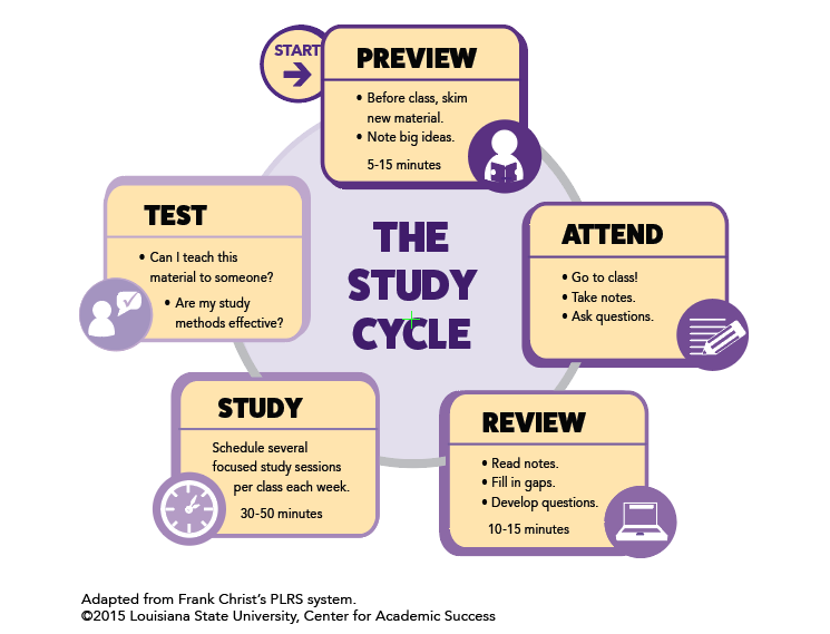 LSU Study Cycle