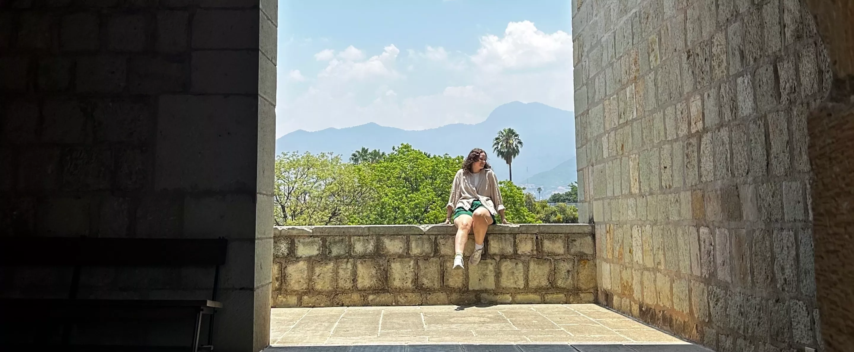 A student sits on a low stone wall with a blue sky, mountains, and tall palm tree in the background.