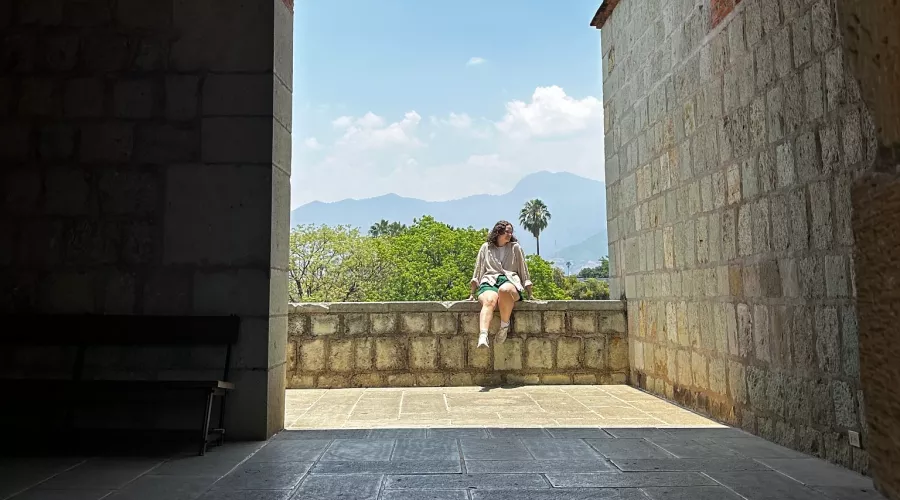 A student sits on a low stone wall with a blue sky, mountains, and tall palm tree in the background.