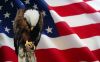 image of an eagle in front of an American flag