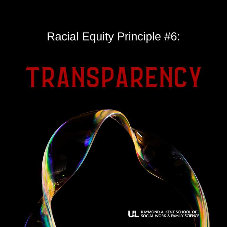 Racial Equity Principle 6