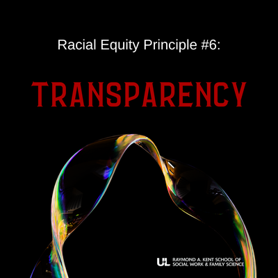 Racial Equity Principle 6