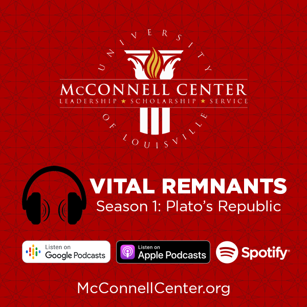 Vital Remnants Season 1