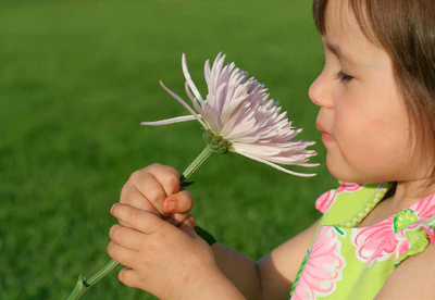 Pediatrics flower
