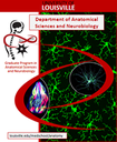 2013 Brochure about the Department of Anatomical Sciences and Neurobiology