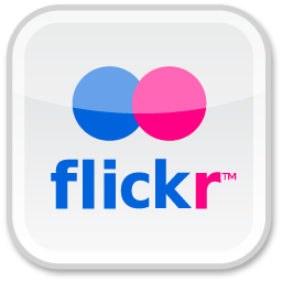 Flicker icon (small)