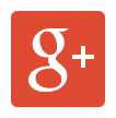 Google plus icon (red)