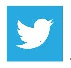 Twitter logo (white bird)