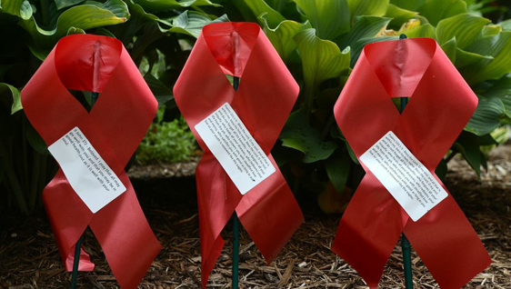 HIV-Garden_3-red-ribbons.png