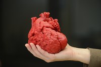 hand holding red 3d heart model