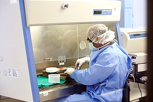 Balamurugan Appakalai working in lab