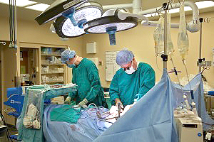 Dr. Hughes performs pancreas surgery