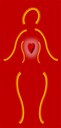 U of L cardiologists to take part in women's heart disease symposium