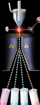 cell sorting