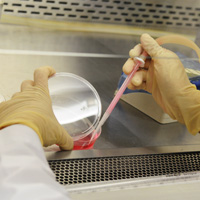 A researcher works with a beaker