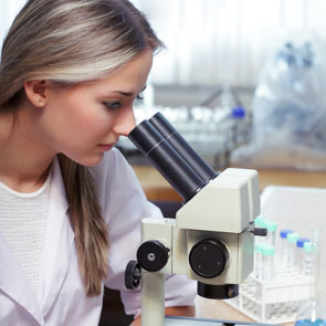 Basic research stock