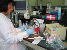 BloodBank.jpg