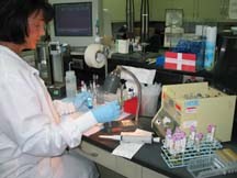 BloodBank.jpg