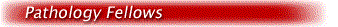 fellows.gif
