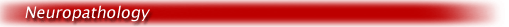 neuropath.gif