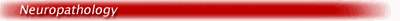 neuropath.gif