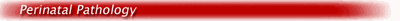 perinatal.gif