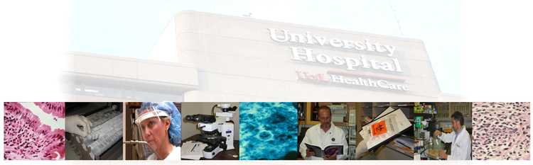 website3 faded hospital rev.jpg