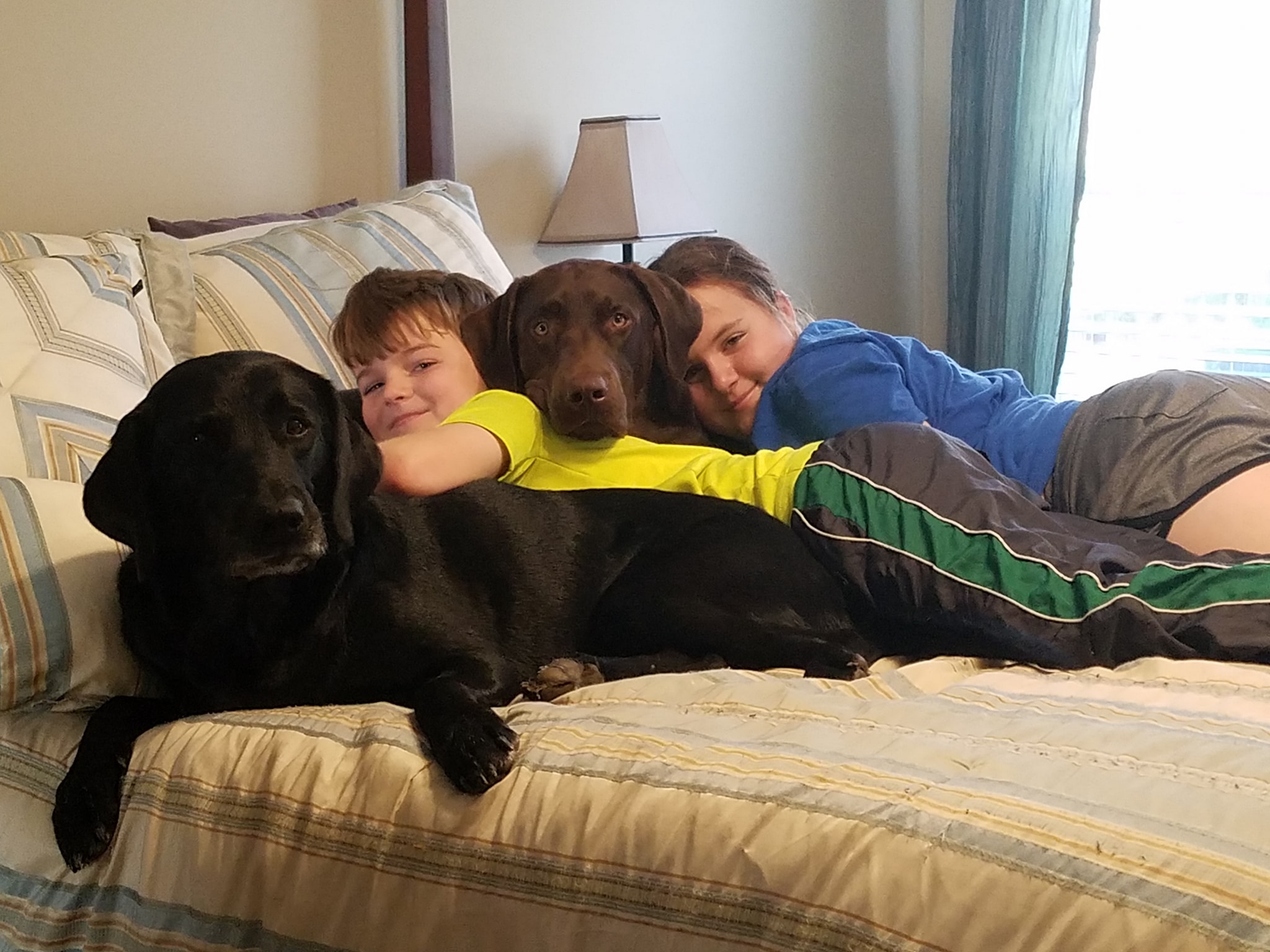 Natalie Pasquenza dog spotlight