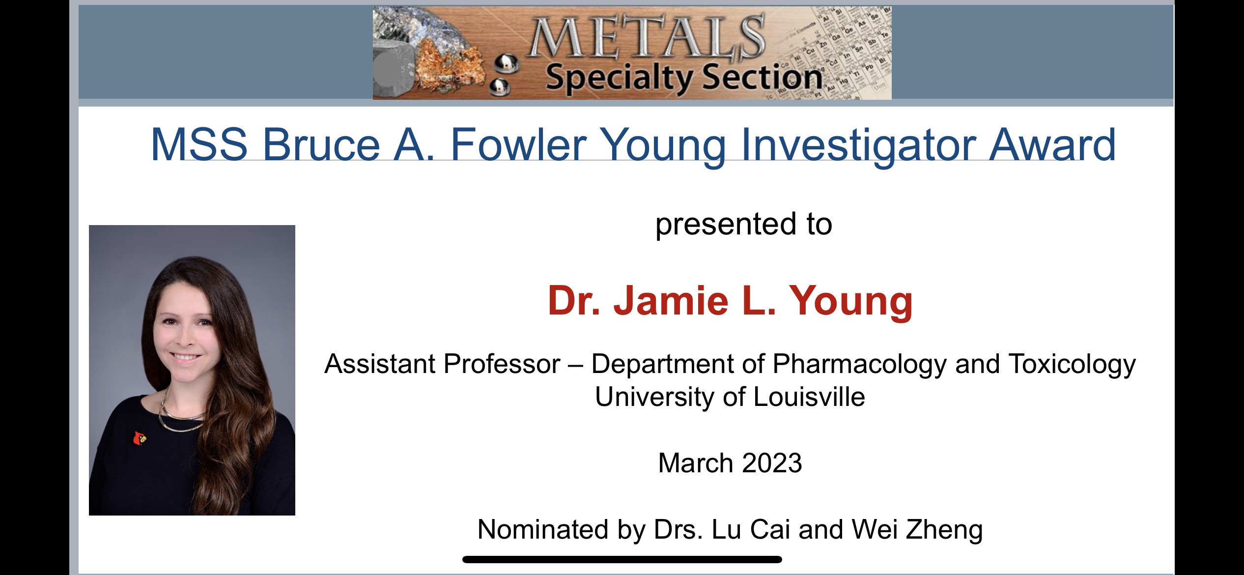 Jamie Young SOT investigator award