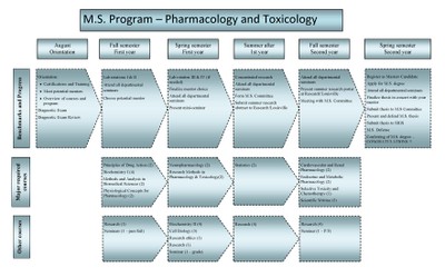 MS Flowchart