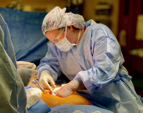 A resident leads a surgical procedure.