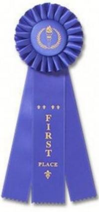 1st Place