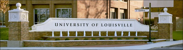 Faculty Development Resources — School of Medicine University of Louisville