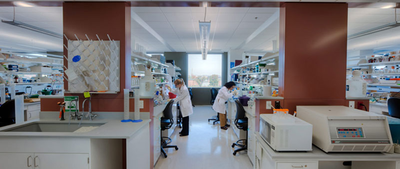 An expansive modern lab design